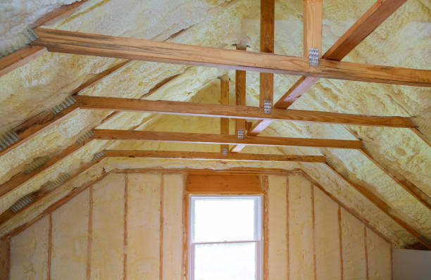 Best Insulation Inspection Services  in Hawaiian Beaches, HI