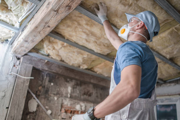 Best Insulation Replacement Services  in Hawaiian Beaches, HI
