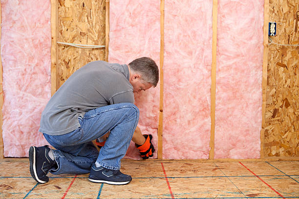 Best Insulation Contractors for Homes  in Hawaiian Beaches, HI