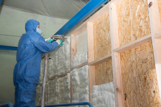 Best Local Insulation Services  in Hawaiian Beaches, HI