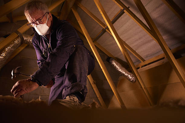 Best Attic Insulation Installation  in Hawaiian Beaches, HI